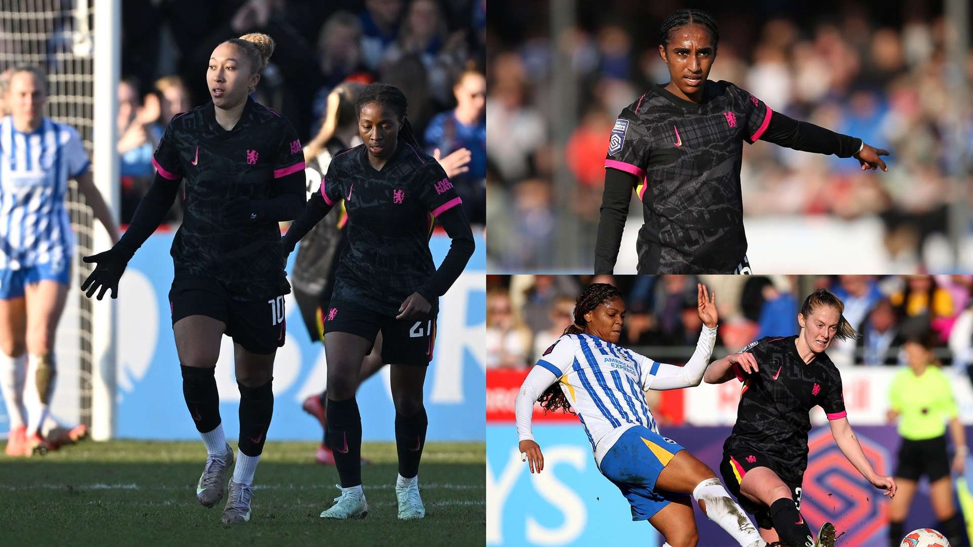 辽宁男篮的 辽宁男篮的