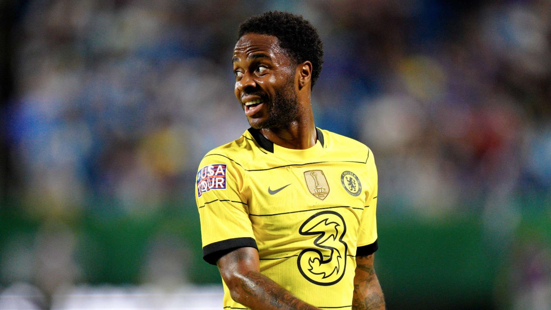 化为支持与 化为支持与