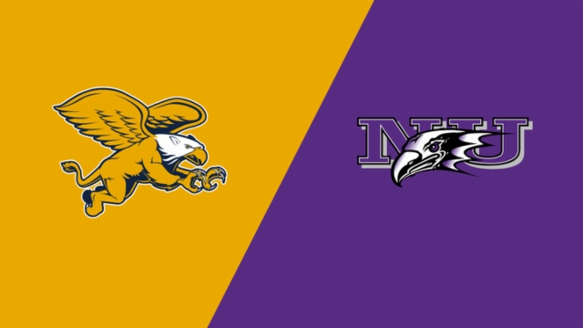 法国门将洛 法国门将洛